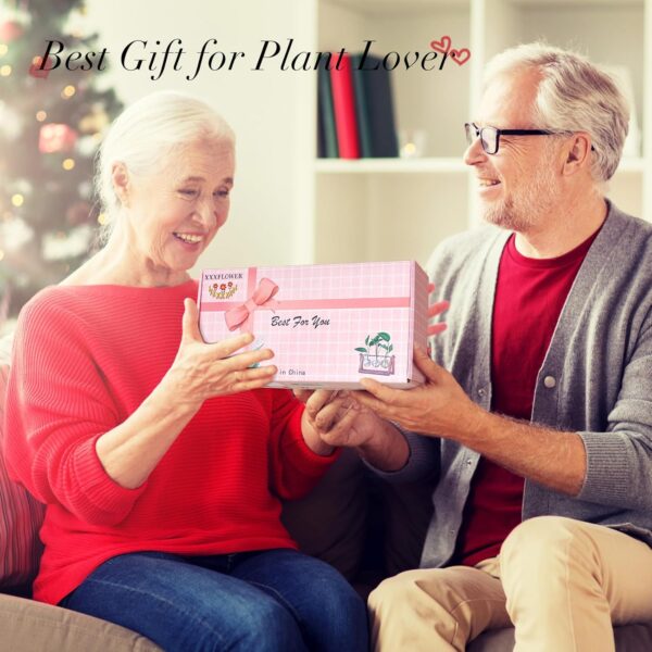 Retro Plant Terrarium with Wooden Stand – Triple Bulb Glass Vase Propagation Station for Hydroponics, Flowers & Home Office Décor