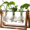 XXXFLOWER Plant Terrarium with Wooden Stand, Air Planter Bulb Glass Vase Metal Swivel Holder Retro Tabletop for Hydroponics Home Garden Office Decoration - 3 Bulb Vase