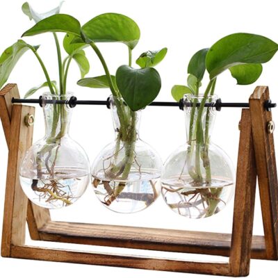 XXXFLOWER Plant Terrarium with Wooden Stand, Air Planter Bulb Glass Vase Metal Swivel Holder Retro Tabletop for Hydroponics Home Garden Office Decoration - 3 Bulb Vase
