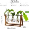 Retro Plant Terrarium with Wooden Stand – Triple Bulb Glass Vase Propagation Station for Hydroponics, Flowers & Home Office Décor