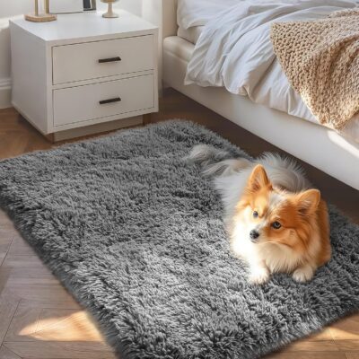 81gFnxCubUL._AC_SL1500_.jpg Ophanie Small Rug Upgrade Non Slip Throw Bedside Area Rugs, Fluffy Soft Grey Mini Bedroom Carpet, Affordable Door Entryway Indoor Inside Front Entrance Dog 2x3 Mat, Home Decor Aesthetic, Nursery