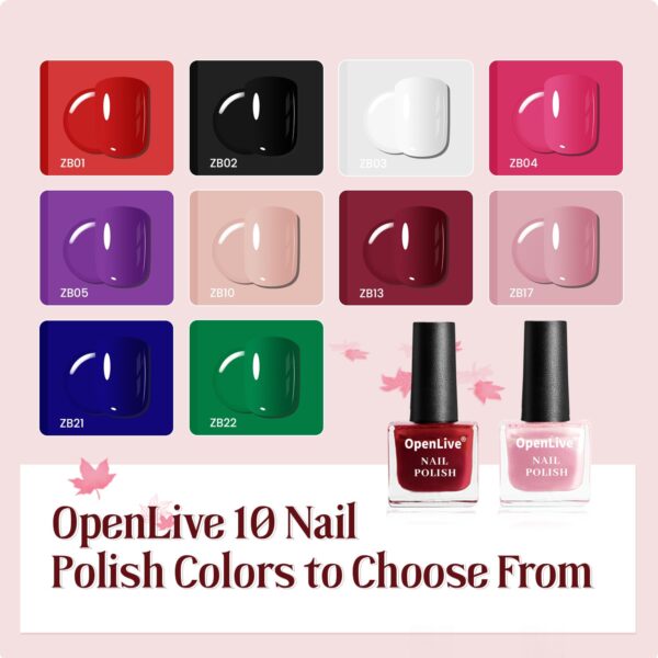 12-Piece Nail Polish Kit with 10 Colors + Base & Top Coat – Fast-Drying, Vibrant Shades | Perfect Gift for Women