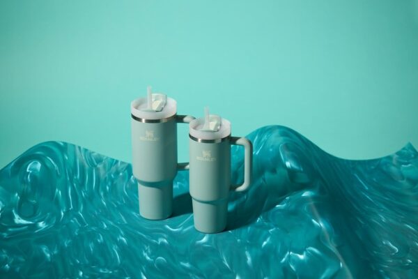 Stanley Quencher H2.0 Tumbler 30oz – Insulated Stainless Steel Travel Cup with Straw & Handle