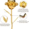 719sdSI2nUL._AC_SL1500_.jpg 24K Gold Dipped Rose – Eternal Golden Rose Gift for Women, Anniversary, Birthday & Romantic Occasions