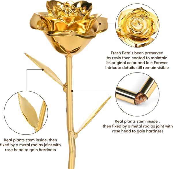 719sdSI2nUL._AC_SL1500_.jpg 24K Gold Dipped Rose – Eternal Golden Rose Gift for Women, Anniversary, Birthday & Romantic Occasions